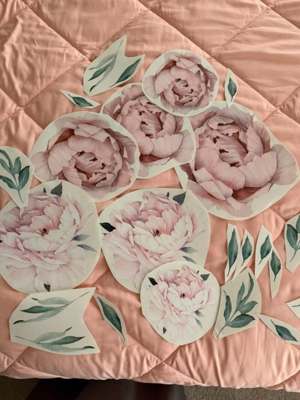 7 Flowers Peony Wall Decals Pink